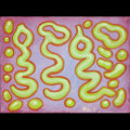 "Glyph Study: Aboriginal—Green Worm" "Glyph Study: Aboriginal—Green Worm"